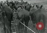Image of farm plowed United States USA, 1916, second 22 stock footage video 65675067804