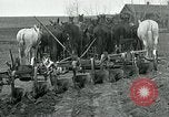 Image of farm plowed United States USA, 1916, second 34 stock footage video 65675067804