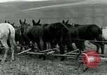 Image of farm plowed United States USA, 1916, second 42 stock footage video 65675067804