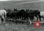 Image of farm plowed United States USA, 1916, second 43 stock footage video 65675067804