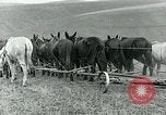 Image of farm plowed United States USA, 1916, second 44 stock footage video 65675067804