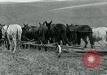 Image of farm plowed United States USA, 1916, second 45 stock footage video 65675067804