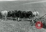 Image of farm plowed United States USA, 1916, second 47 stock footage video 65675067804