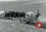 Image of farm plowed United States USA, 1916, second 49 stock footage video 65675067804