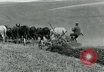 Image of farm plowed United States USA, 1916, second 50 stock footage video 65675067804