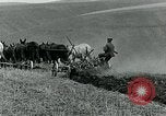 Image of farm plowed United States USA, 1916, second 51 stock footage video 65675067804