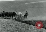 Image of farm plowed United States USA, 1916, second 52 stock footage video 65675067804