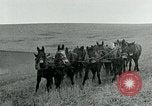Image of farm plowed United States USA, 1916, second 55 stock footage video 65675067804
