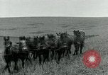Image of farm plowed United States USA, 1916, second 56 stock footage video 65675067804
