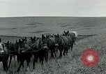 Image of farm plowed United States USA, 1916, second 57 stock footage video 65675067804