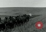 Image of farm plowed United States USA, 1916, second 58 stock footage video 65675067804