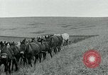 Image of farm plowed United States USA, 1916, second 59 stock footage video 65675067804