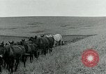 Image of farm plowed United States USA, 1916, second 60 stock footage video 65675067804