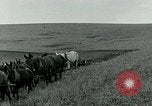 Image of farm plowed United States USA, 1916, second 61 stock footage video 65675067804