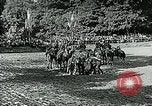 Image of Seventh French Dragoons Paris France, 1916, second 29 stock footage video 65675067807