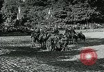 Image of Seventh French Dragoons Paris France, 1916, second 30 stock footage video 65675067807