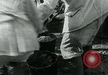 Image of Austro-Hungarian prisoners of Italians near the Carso Italy, 1916, second 45 stock footage video 65675067811