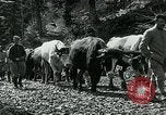 Image of Road construction to support Allied offensive World War I Alsace France, 1918, second 50 stock footage video 65675067813