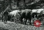 Image of Road construction to support Allied offensive World War I Alsace France, 1918, second 51 stock footage video 65675067813