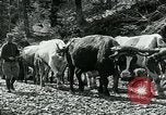 Image of Road construction to support Allied offensive World War I Alsace France, 1918, second 52 stock footage video 65675067813