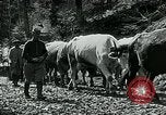 Image of Road construction to support Allied offensive World War I Alsace France, 1918, second 56 stock footage video 65675067813