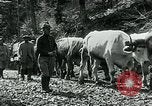 Image of Road construction to support Allied offensive World War I Alsace France, 1918, second 57 stock footage video 65675067813