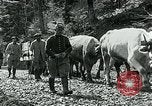 Image of Road construction to support Allied offensive World War I Alsace France, 1918, second 58 stock footage video 65675067813
