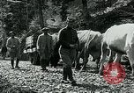 Image of Road construction to support Allied offensive World War I Alsace France, 1918, second 59 stock footage video 65675067813