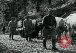 Image of Road construction to support Allied offensive World War I Alsace France, 1918, second 60 stock footage video 65675067813