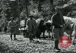 Image of Road construction to support Allied offensive World War I Alsace France, 1918, second 61 stock footage video 65675067813