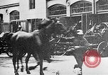 Image of Guards of the Crown Prince of Prussia at New Guard House on Unter Den Linden Germany, 1914, second 33 stock footage video 65675067817