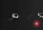 Image of Elaborate fireworks displays celebrating Atlantic fliers Chamberlain Byrd and Lindbergh Paris France, 1927, second 4 stock footage video 65675067827