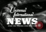 Image flood l'Europe, 1955, de la seconde 5 séquences d'archives historiques vidéo 65675067829