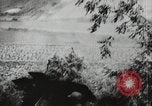 Standbild nordkoreanische Soldaten Korea, 1952, aus Sekunde 18 historischem Filmmaterial Videoclip 65675067839