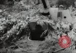 Standbild nordkoreanische Soldaten Korea, 1952, aus Sekunde 26 historischem Filmmaterial Videoclip 65675067839