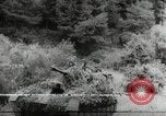 Standbild nordkoreanische Soldaten Korea, 1952, aus Sekunde 48 historischem Filmmaterial Videoclip 65675067839