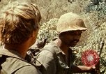 Immagine di 101ª Divisione aviotrasportata Il Vietnam, 1971, secondo 41 filmato di repertorio 65675067849