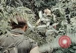 Image 101e Division aéroportée un Shau Valley Vietnam, 1971, de la seconde 13 séquences d'archives historiques vidéo 65675067850