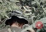 Image 101e Division aéroportée un Shau Valley Vietnam, 1971, de la seconde 16 séquences d'archives historiques vidéo 65675067850
