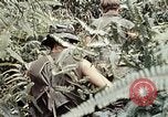Image 101e Division aéroportée un Shau Valley Vietnam, 1971, de la seconde 23 séquences d'archives historiques vidéo 65675067850