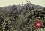 Image 101e Division aéroportée un Shau Valley Vietnam, 1971, de la seconde 60 séquences d'archives historiques vidéo 65675067850