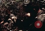Immagine di 101ª Divisione aviotrasportata Una valle Shau Vietnam, 1971, secondo 6 filmato di repertorio 65675067851