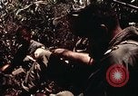 Immagine di 101ª Divisione aviotrasportata Una valle Shau Vietnam, 1971, secondo 8 filmato di repertorio 65675067851