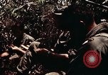 Immagine di 101ª Divisione aviotrasportata Una valle Shau Vietnam, 1971, secondo 10 filmato di repertorio 65675067851