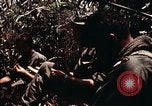 Immagine di 101ª Divisione aviotrasportata Una valle Shau Vietnam, 1971, secondo 11 filmato di repertorio 65675067851