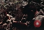 Immagine di 101ª Divisione aviotrasportata Una valle Shau Vietnam, 1971, secondo 12 filmato di repertorio 65675067851