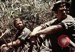 Immagine di 101ª Divisione aviotrasportata Una valle Shau Vietnam, 1971, secondo 36 filmato di repertorio 65675067851