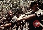 Immagine di 101ª Divisione aviotrasportata Una valle Shau Vietnam, 1971, secondo 37 filmato di repertorio 65675067851