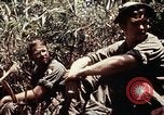Immagine di 101ª Divisione aviotrasportata Una valle Shau Vietnam, 1971, secondo 38 filmato di repertorio 65675067851