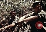 Immagine di 101ª Divisione aviotrasportata Una valle Shau Vietnam, 1971, secondo 40 filmato di repertorio 65675067851